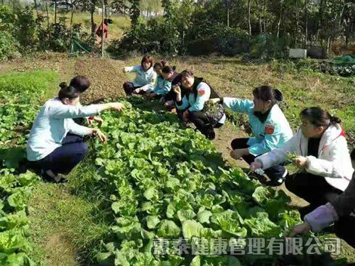 员工团建活动，自己摘菜做饭